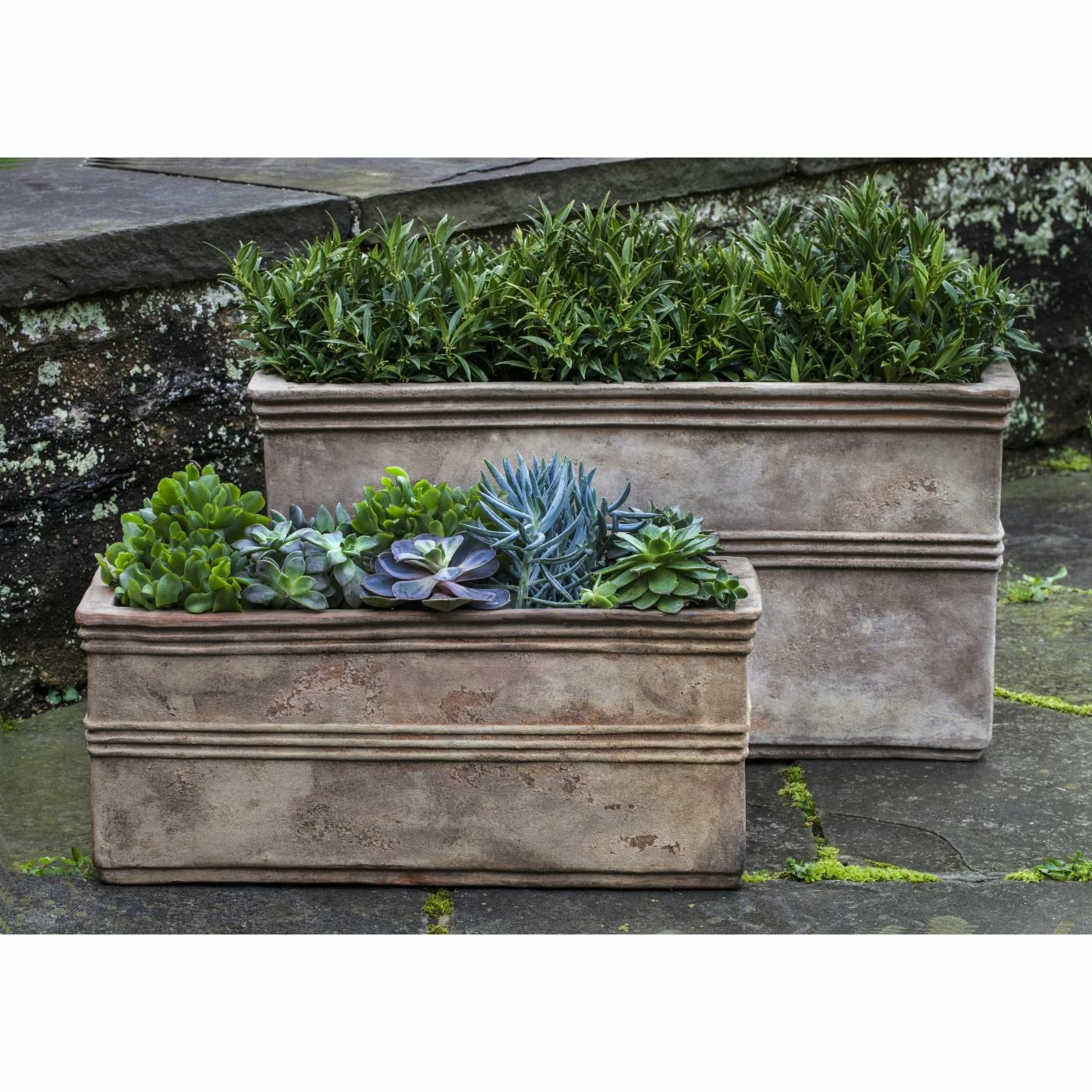 Best deal π Trough Campania International Antico Rectangular Planter - Set Of 2 β€οΈ 1 Best deal π Trough Campania International Antico Rectangular Planter - Set Of 2 β€οΈ