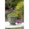 New ✨ Urn Campania International Arles Planter ⭐