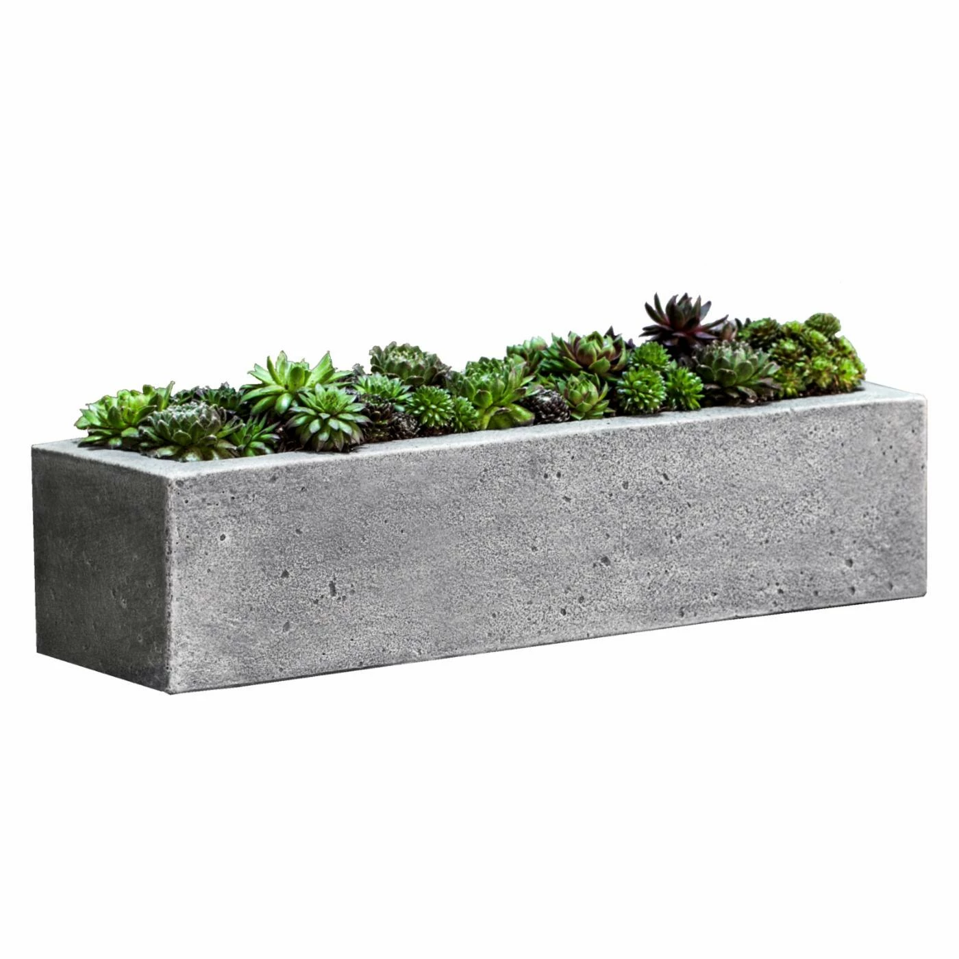 Discount π Trough Campania International Basic Element Planter π 1 Discount π Trough Campania International Basic Element Planter π