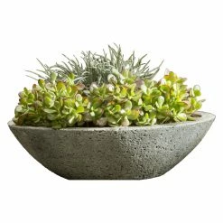 Budget ⭐ Fruit & Vegetable Campania International Celine Planter 😍