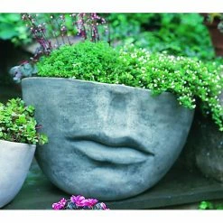 Flash Sale ❤️ Head Campania International Faccia Planter 🌟