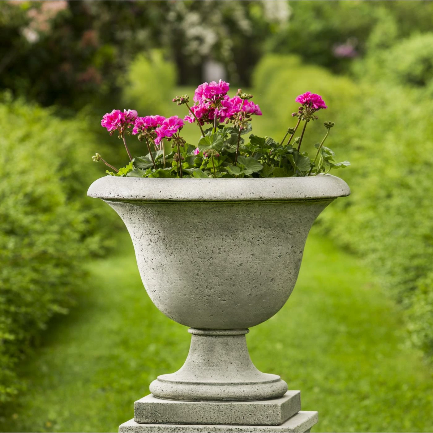 Cheapest π Campania International Fairfield Urn Planter β€οΈ 1 Cheapest π Campania International Fairfield Urn Planter β€οΈ