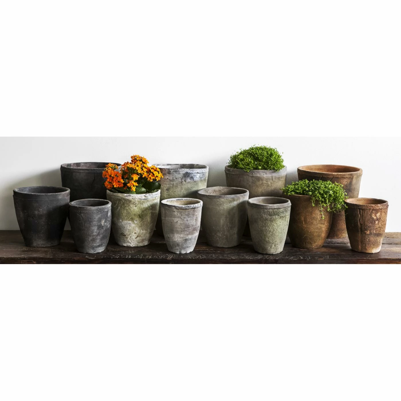 Coupon π Planter Sets Campania International Farmers Pot Set - Set Of 24 π 1 Coupon π Planter Sets Campania International Farmers Pot Set - Set Of 24 π
