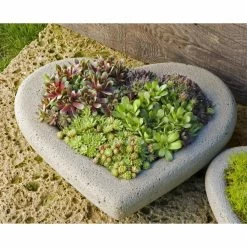 Cheap 🔔 Novelty Campania International Heart Planter 🌟
