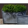 Best reviews of 🧨 Trough Campania International Loire Rectangle Planter ✨