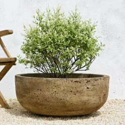 Best deal ⭐ Novelty Campania International Mesa Planter ❤️