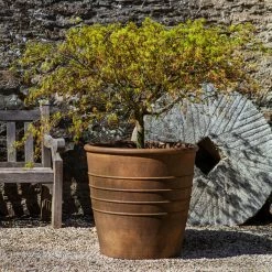 Buy ✔️ Planter Pots Campania International Mill Valley Planter 🧨