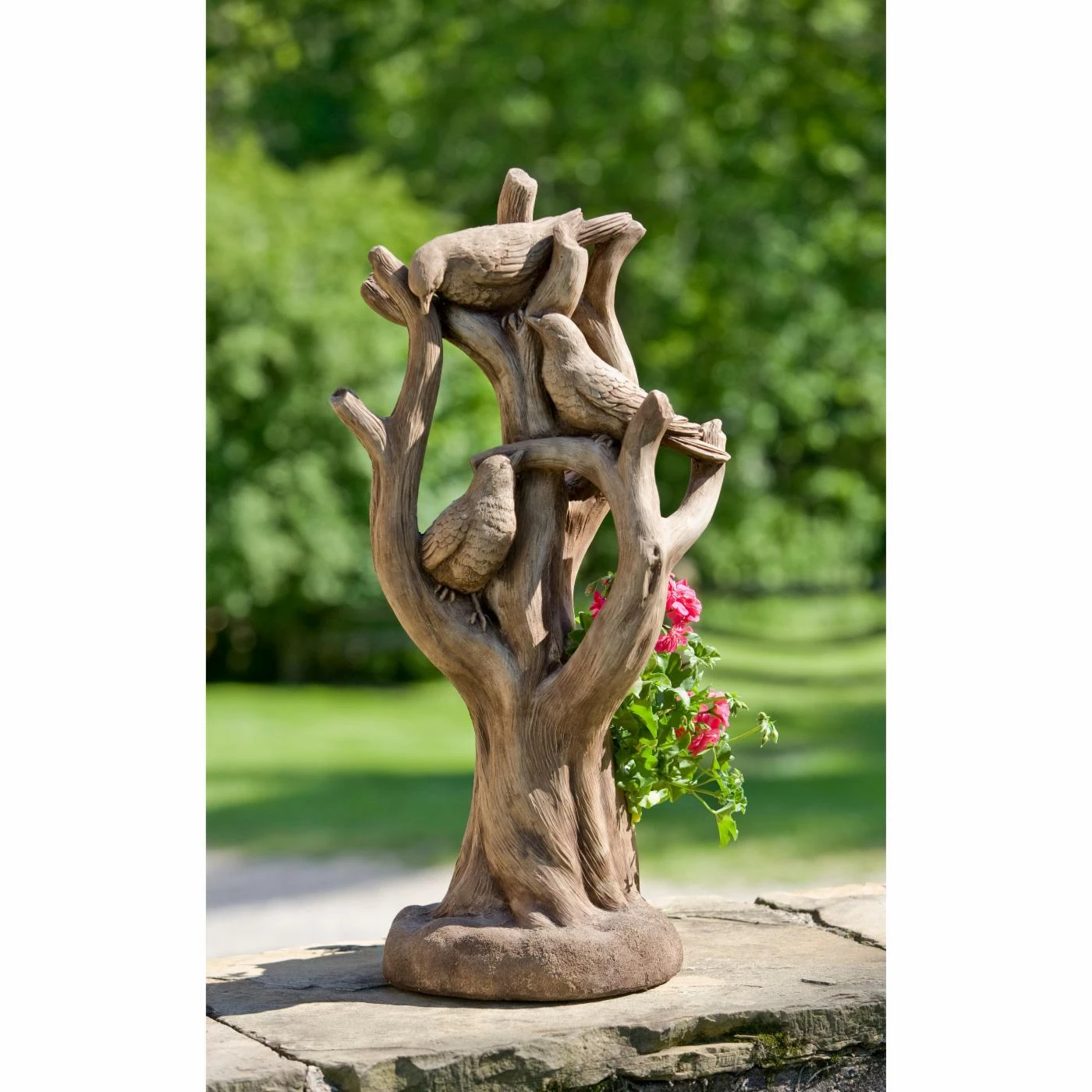 Hot Sale π― Novelty Campania International Morning Gossip Planter π€© 1 Hot Sale π― Novelty Campania International Morning Gossip Planter π€©