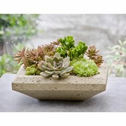 Outlet 🔔 Novelty Campania International Nyssa Planter 💯