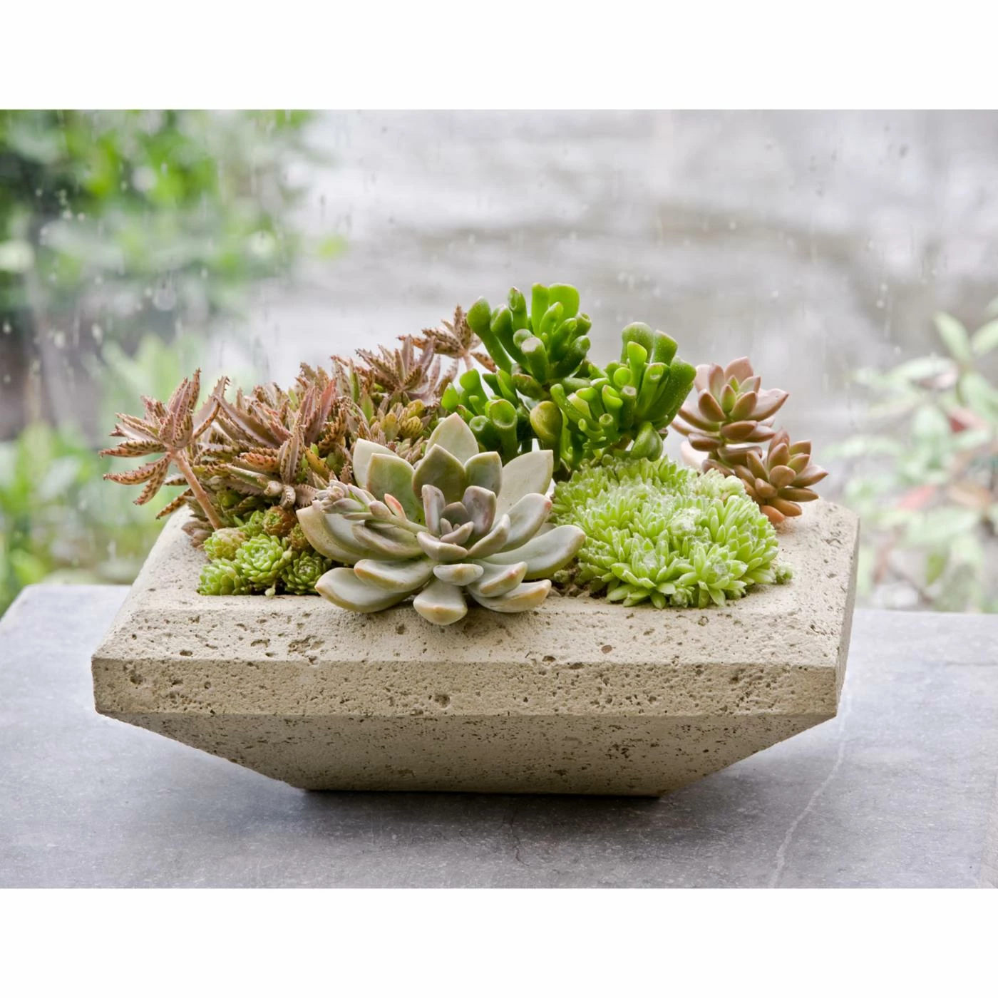 Outlet π Novelty Campania International Nyssa Planter π― 1 Outlet π Novelty Campania International Nyssa Planter π―