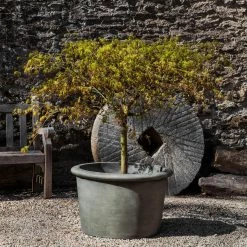 Top 10 🤩 Planter Pots Campania International Palo Alto Planter 🎉