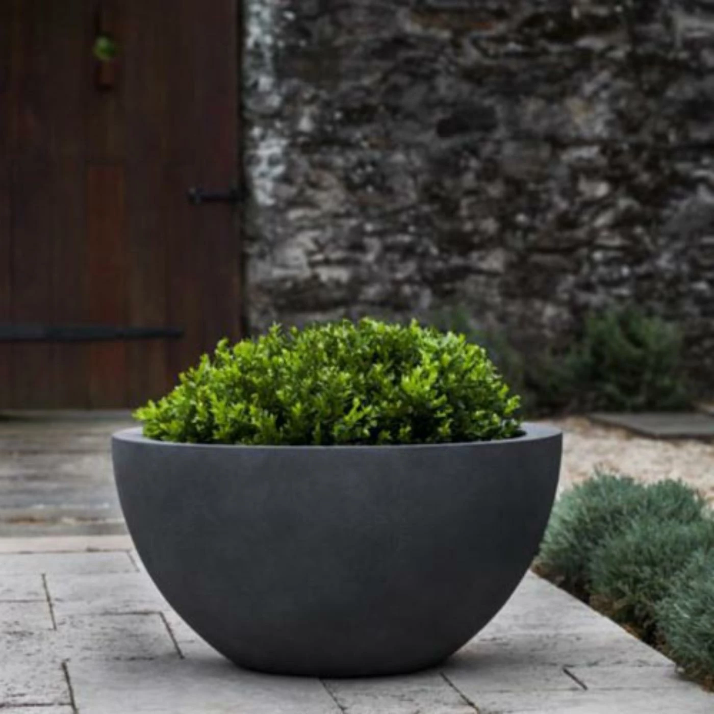 Buy ⌛ Novelty Campania International Piccadilly Planter ❤️ 1 Buy ⌛ Novelty Campania International Piccadilly Planter ❤️