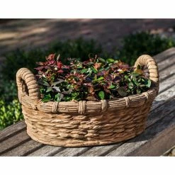 Best Pirce 👏 Novelty Campania International Provencal Basket Planter ❤️