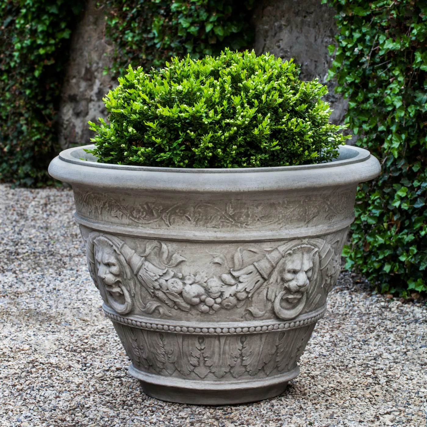 Coupon π Novelty Campania International Rosecliff Planter π₯ 1 Coupon π Novelty Campania International Rosecliff Planter π₯