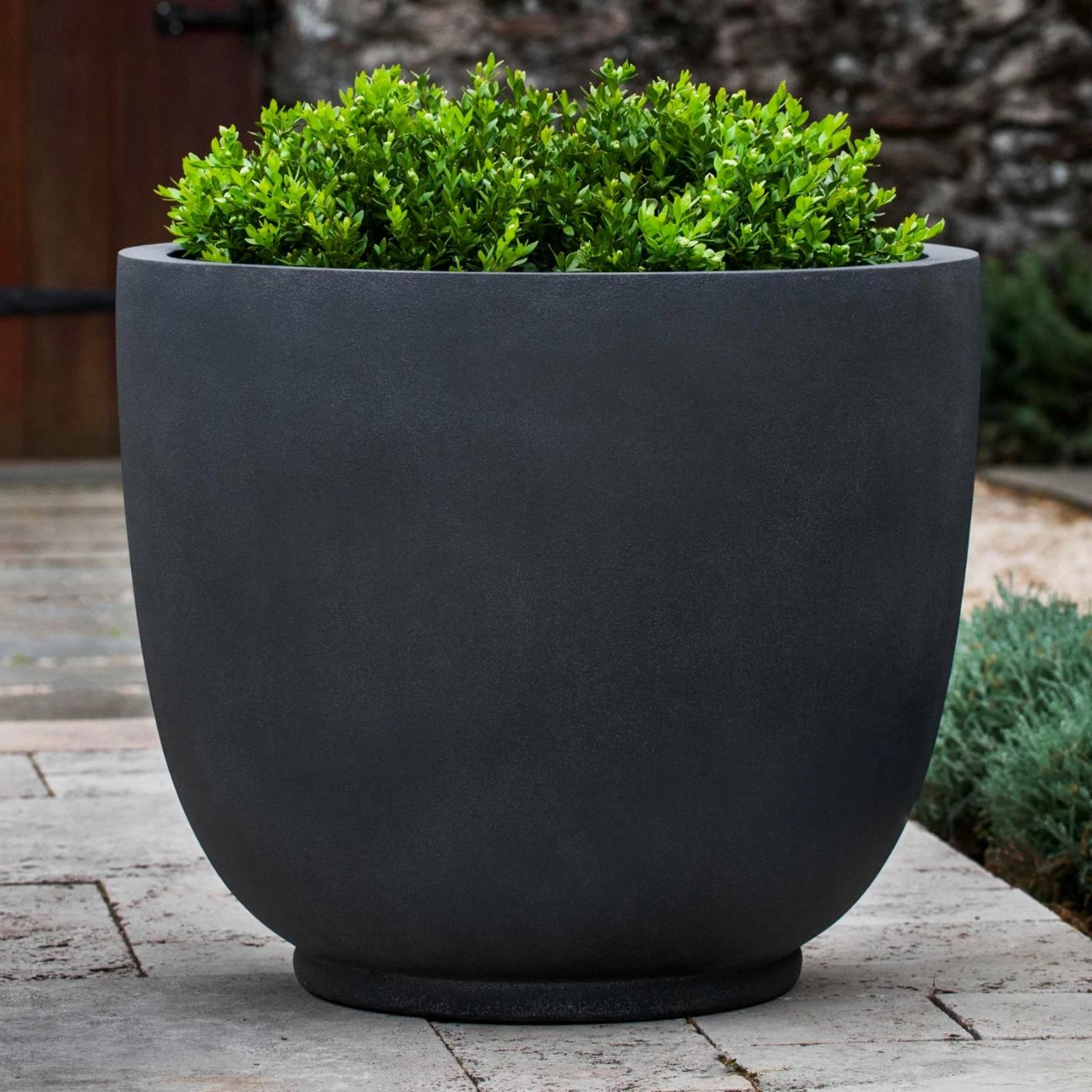 Deals π₯° Planter Pots Campania International Danilo Fiber Clay Planter β 1 Deals π₯° Planter Pots Campania International Danilo Fiber Clay Planter β