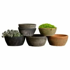 Promo 🌟 Planter Sets Campania International Farmers Bowl Planter - Set Of 12 🧨