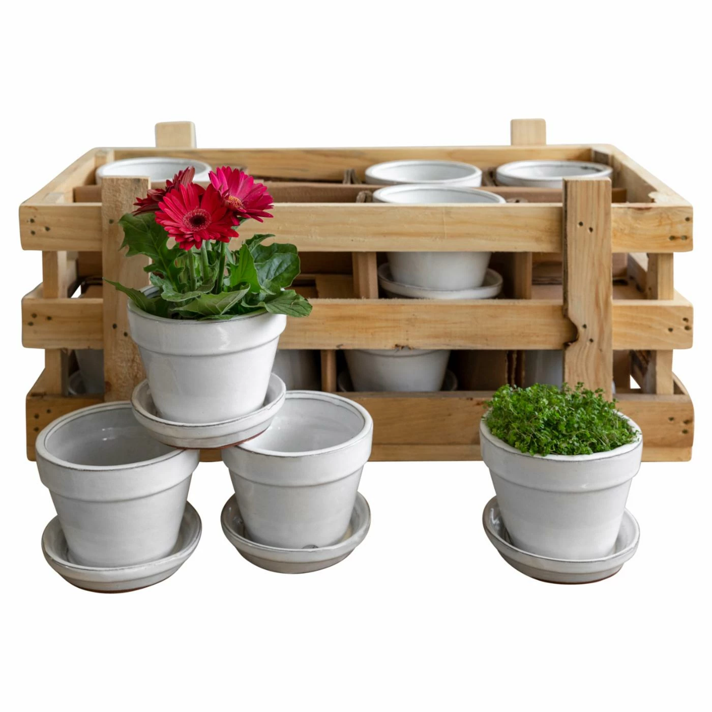 Discount β€οΈ Planter Pots Campania International 16 Round Garden Terrace Planters With Crate π₯ 1 Discount β€οΈ Planter Pots Campania International 16 Round Garden Terrace Planters With Crate π₯