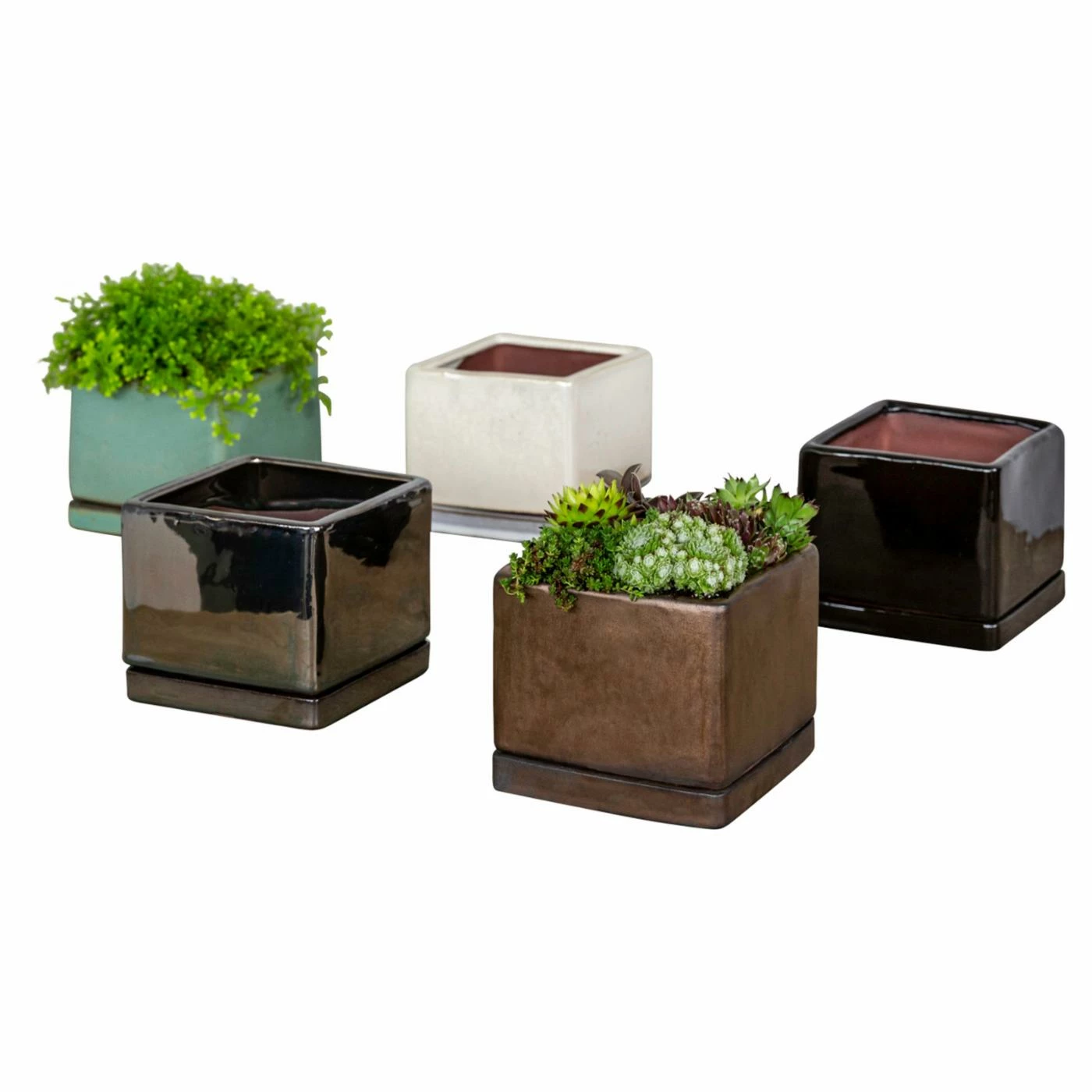 Deals โ๏ธ Planter Pots Campania International I/O Series Cube - Set Of 6 ๐ 1 Deals โ๏ธ Planter Pots Campania International I/O Series Cube - Set Of 6 ๐