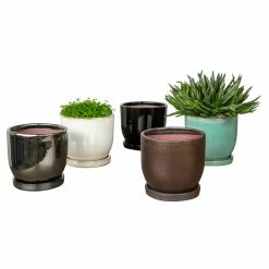 Deals โ Planter Pots Campania International I/O Series Cup Planter - Set Of 6 ๐ฏ