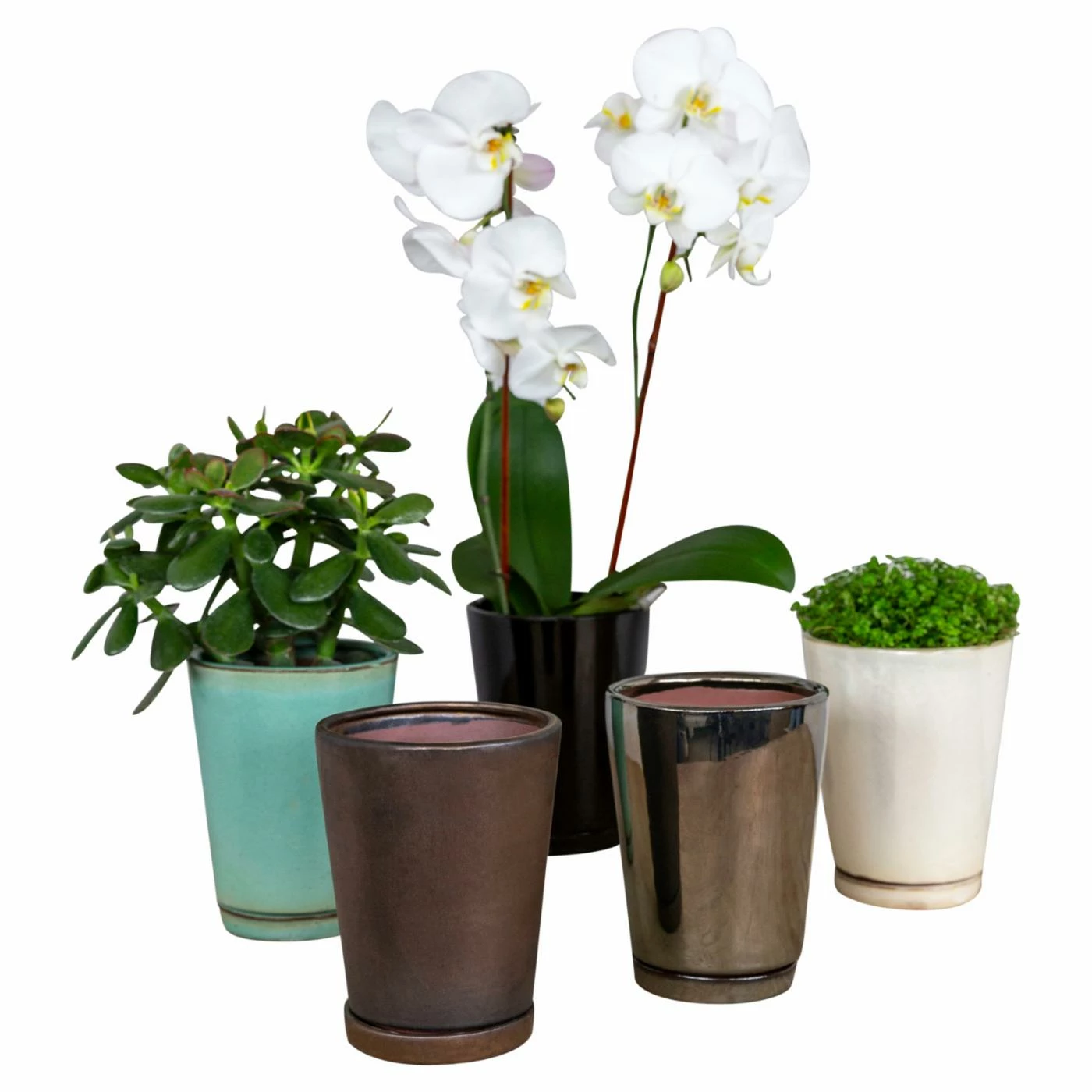 Budget ๐คฉ Planter Pots Campania International I/O Series Tapered Planter - Set Of 6 ๐ 1 Budget ๐คฉ Planter Pots Campania International I/O Series Tapered Planter - Set Of 6 ๐