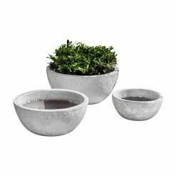 Best reviews of 🧨 Planter Sets Campania International Mira Bowl Planter - Set Of 3 👏