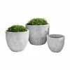 Best deal 😀 Planter Sets Campania International Caipirinha Planter - Set Of 3 ⭐