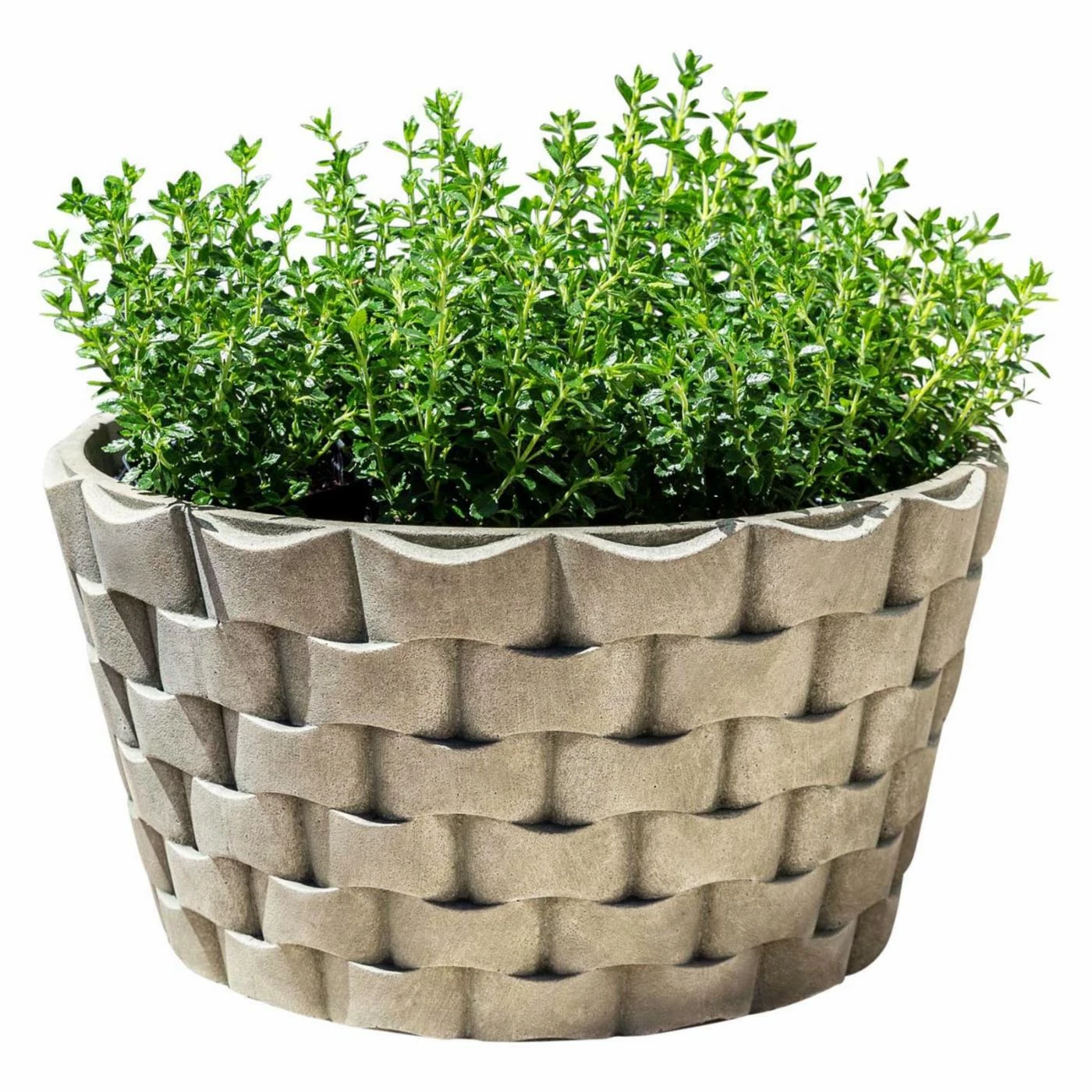 Cheap π Planter Pots Campania International M Weave Low Round Planter π 1 Cheap π Planter Pots Campania International M Weave Low Round Planter π