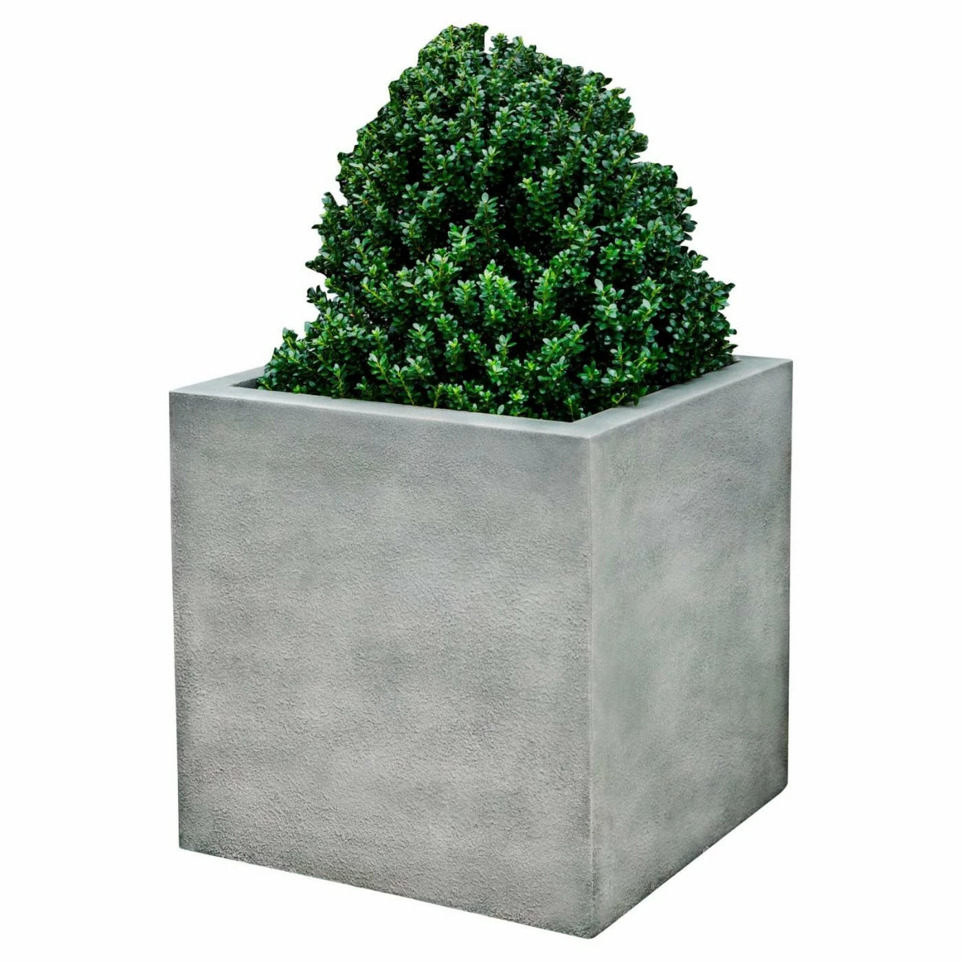 Wholesale π Planter Pots Campania International Metropolis Cube Planter π 1 Wholesale π Planter Pots Campania International Metropolis Cube Planter π