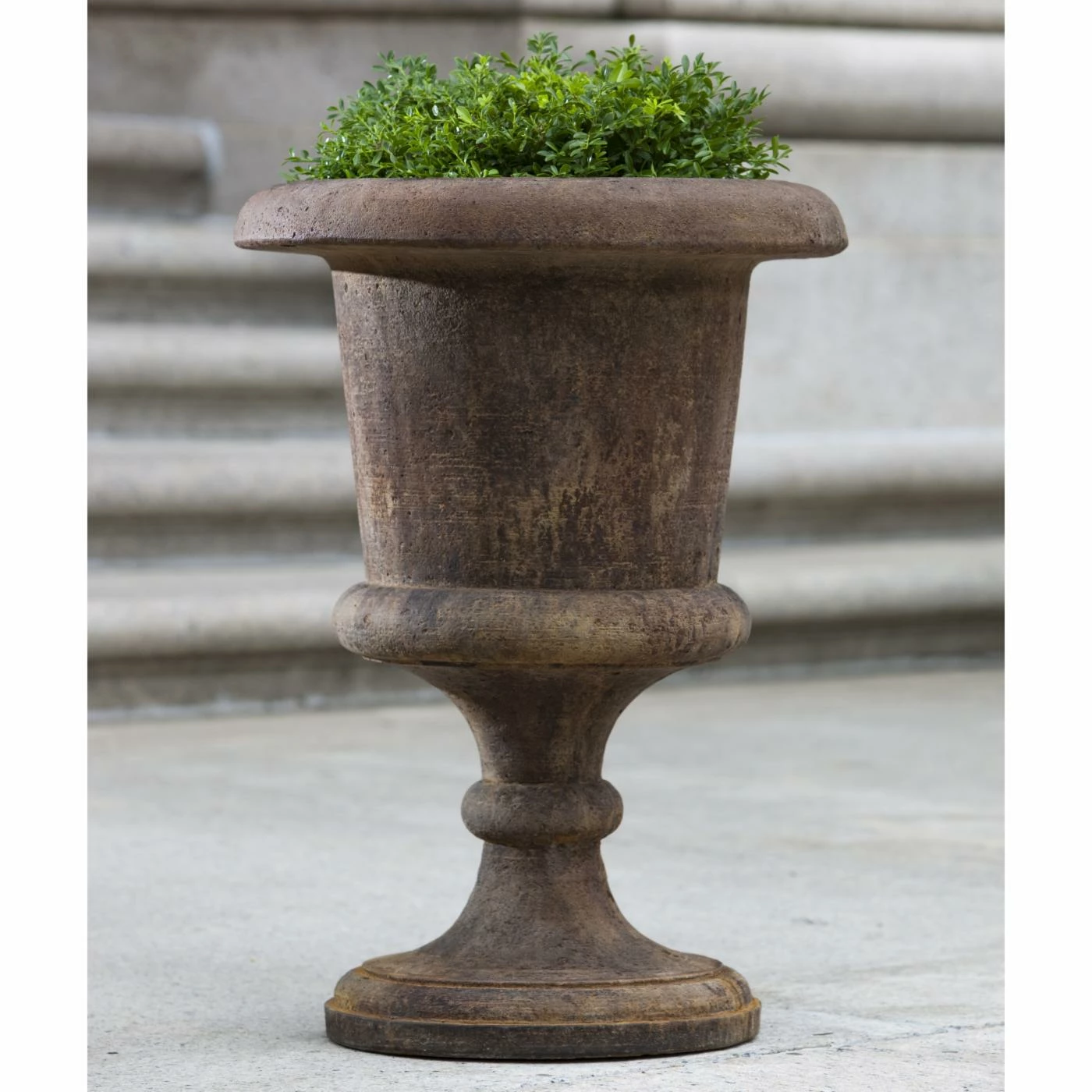 Brand new π― Campania International Smithsonian Goblet Cast Stone Urn Planter π 1 Brand new π― Campania International Smithsonian Goblet Cast Stone Urn Planter π