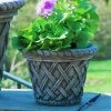 Brand new 🎉 Novelty Campania International Small English Weave Cast Stone Planter 🌟
