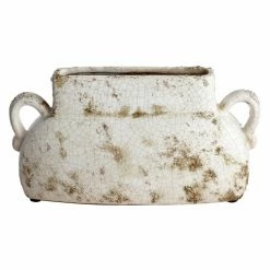 New 🥰 Novelty Cyan Design Leos Planter 👏