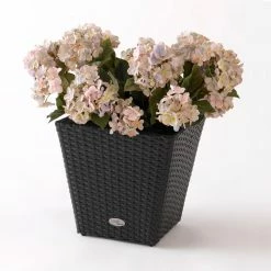 Top 10 🔔 DMC Products Planter Pots Square Resin Wicker Vista Planter 👏