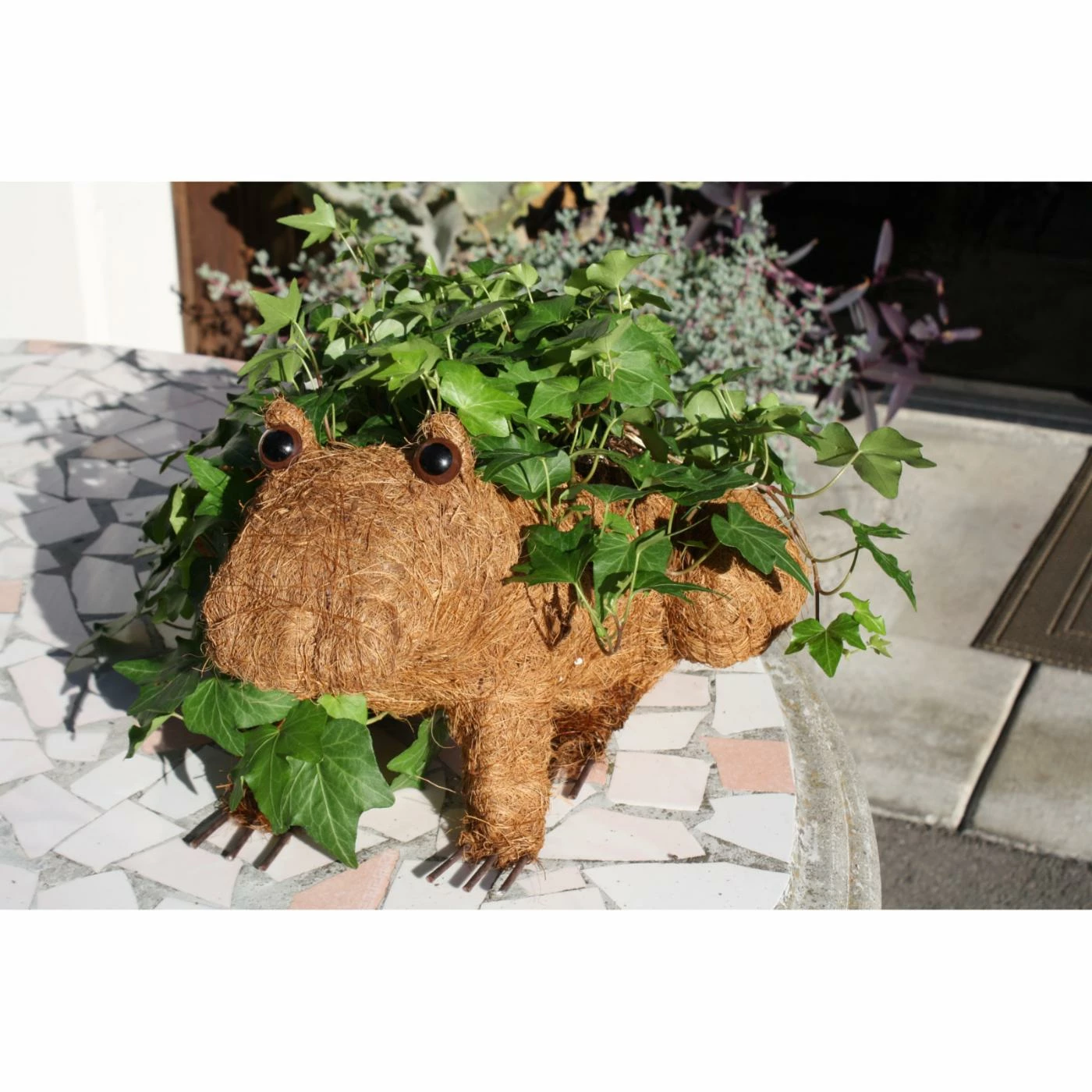 Budget 😀 Novelty Ultimate Innovations Topiary Animal Coco Planter - Frog 👍 1 Budget 😀 Novelty Ultimate Innovations Topiary Animal Coco Planter - Frog 👍