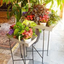 Deals 🎉 Window Boxes Achla Designs Rectangular Window Box ✔️