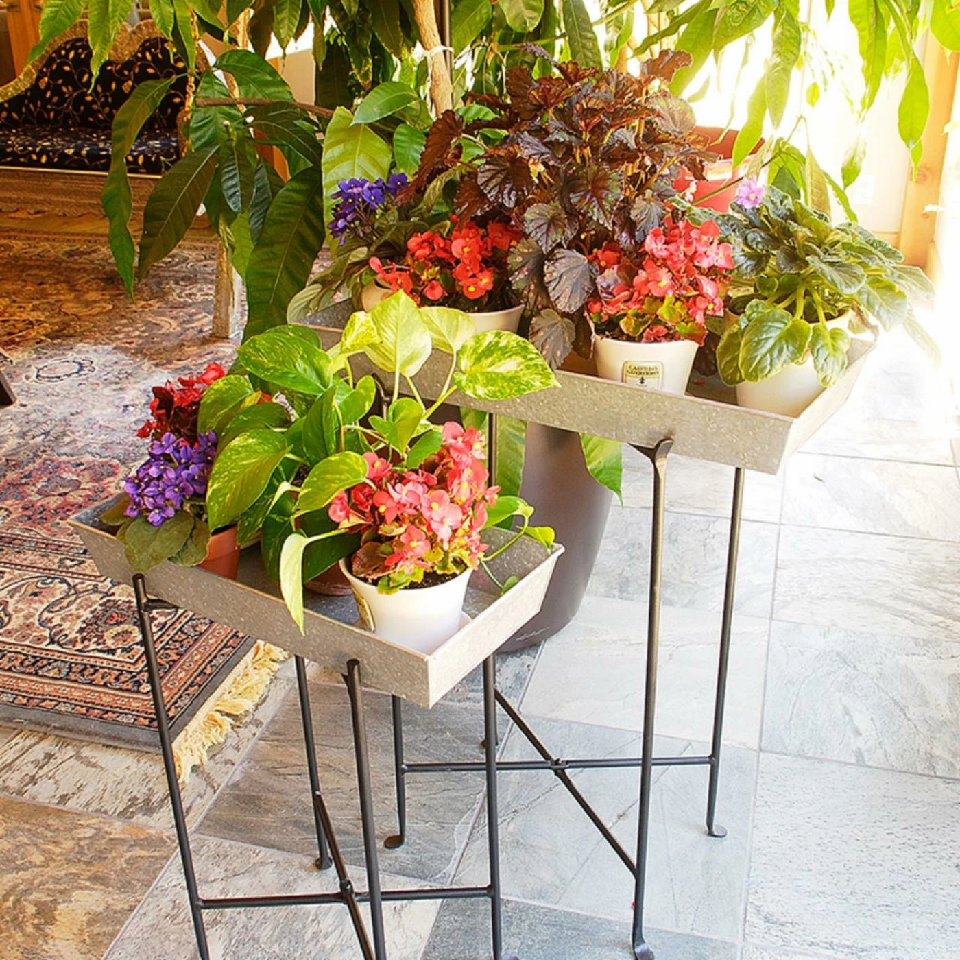 Deals 🎉 Window Boxes Achla Designs Rectangular Window Box ✔️ 1 Deals 🎉 Window Boxes Achla Designs Rectangular Window Box ✔️