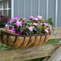 Cheap 🔔 CobraCo English Horse Trough Planter 😍