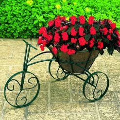 Top 10 👍 Novelty CobraCo Tricycle Planter 🎉