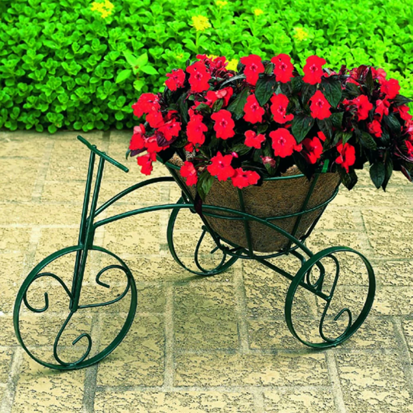 Top 10 ๐ Novelty CobraCo Tricycle Planter ๐ 1 Top 10 ๐ Novelty CobraCo Tricycle Planter ๐