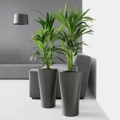 Top 10 😉 Planter Pots Lechuza Delta Self-Watering Indoor Planter ⌛