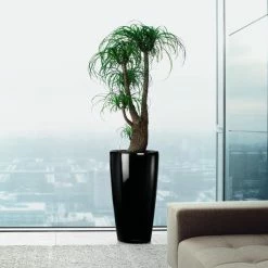 Cheap ✨ Planter Pots Lechuza Rondo Self-Watering Planter ✔️