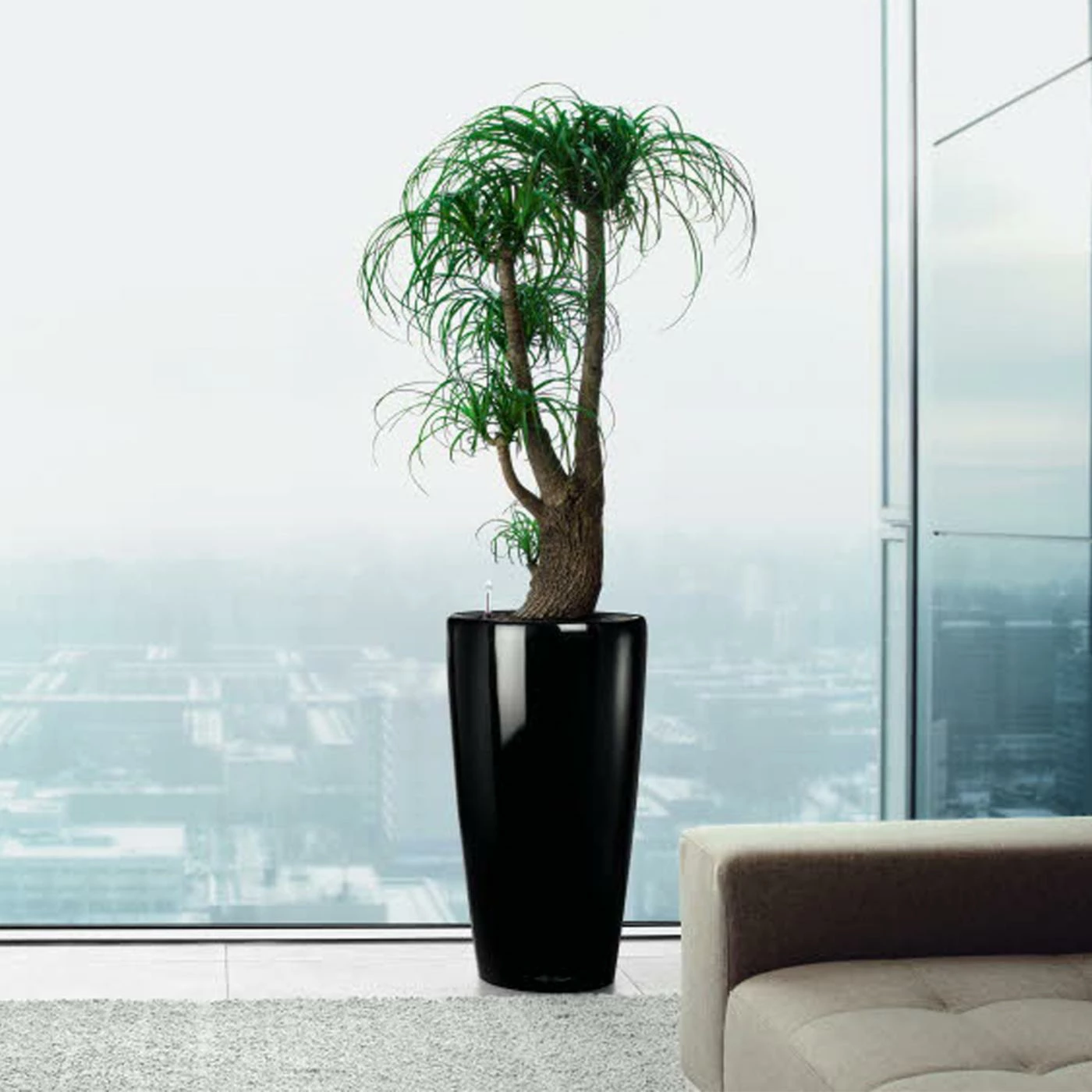 Cheap ✨ Planter Pots Lechuza Rondo Self-Watering Planter ✔️ 1 Cheap ✨ Planter Pots Lechuza Rondo Self-Watering Planter ✔️