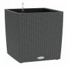 Best reviews of ⌛ Planter Pots Lechuza Cube Cottage 30 Indoor/Outdoor Self-Watering Planter ❤️
