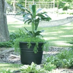 Brand new ✔️ Riverside Plastics Planter Pots Phoenix Planter 😉