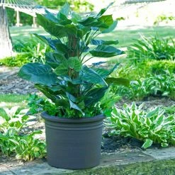 Outlet 🌟 Riverside Plastics Commercial Round Resin Tempe Planter 🎉