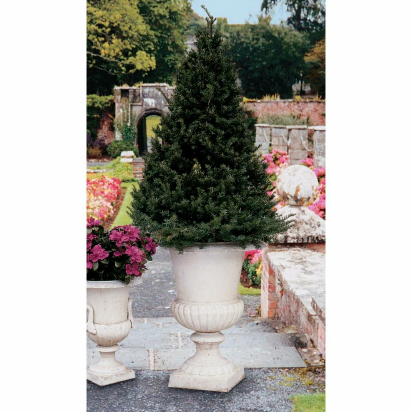 Flash Sale π€© Design Toscano Chateau Elaine Authentic Iron Urn - Large π 1 Flash Sale π€© Design Toscano Chateau Elaine Authentic Iron Urn - Large π