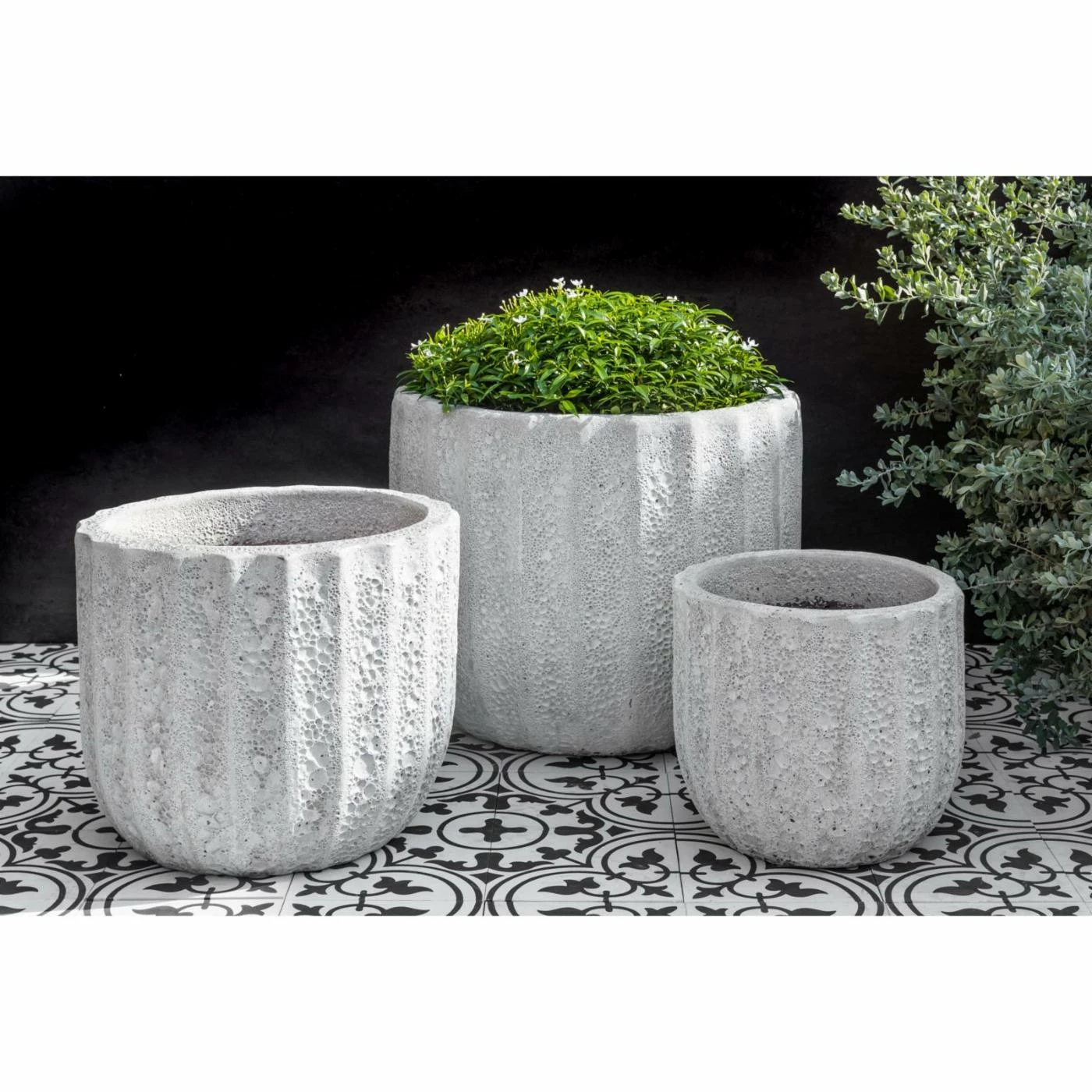 Cheap ๐ Planter Sets Campania International Maris Tall Planter - Set Of 3 โค๏ธ 5 Cheap ๐ Planter Sets Campania International Maris Tall Planter - Set Of 3 โค๏ธ - Image 5