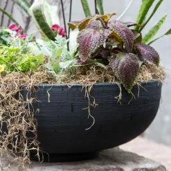 Coupon 🎉 Crescent Garden Novelty Round Orinoco Polyresin Planter Bowls 🌟 -Garden Planters & Plant Pots Sales Shop scaleCTG032