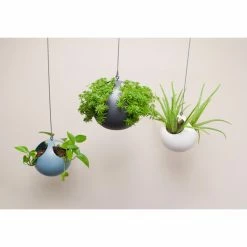 Deals โ๏ธ Exaco Euro Pot Hanging Planter - Set Of 2 ๐ 9 Deals โ๏ธ Exaco Euro Pot Hanging Planter - Set Of 2 ๐ -Garden Planters & Plant Pots Sales Shop scaleEX226