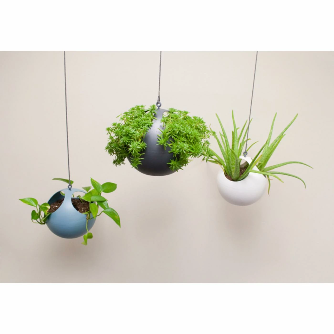 Deals โ๏ธ Exaco Euro Pot Hanging Planter - Set Of 2 ๐ 5 Deals โ๏ธ Exaco Euro Pot Hanging Planter - Set Of 2 ๐ - Image 5