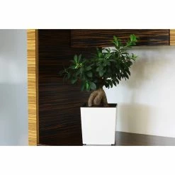 Deals π Planter Pots Kasamodern Urban Planter Cubic Glossy Modern Planter With Insert π 10 Deals π Planter Pots Kasamodern Urban Planter Cubic Glossy Modern Planter With Insert π -Garden Planters & Plant Pots Sales Shop scaleLAKA077